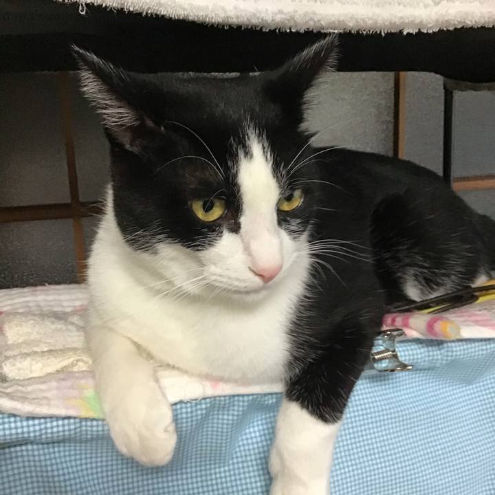 Af637697 2f8f 42e4 b7da 705945acd00f 1694089857575