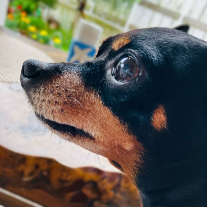 Af63828f 7410 403d a219 73ce3b724b96 1752411764016