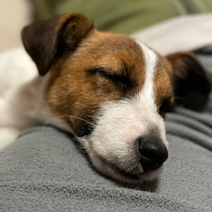 Af638742 ca81 47bf 89ae bff04e3f59b7 1620221467551