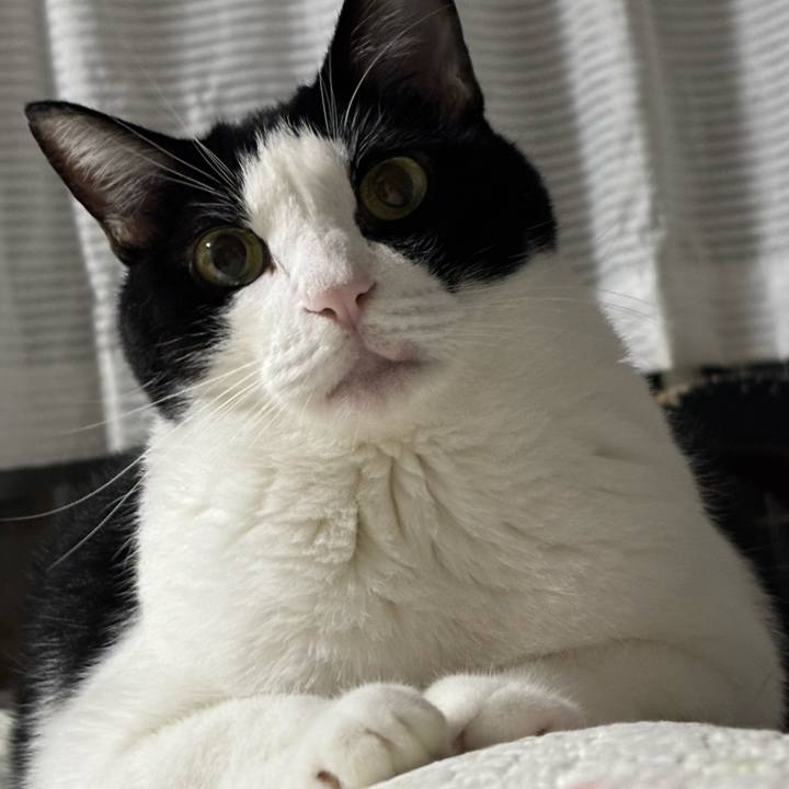 Af63987b 4dd3 4ad3 8154 1e3dfc5d20dc 1760318122901