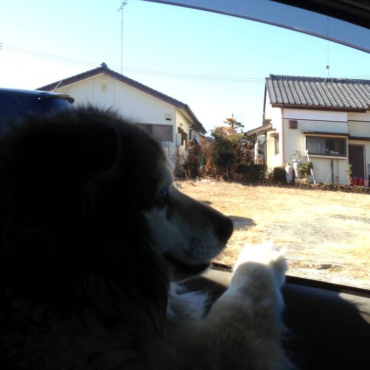 Af63b1c5 effd 4e61 aff0 6349130f9432 1600724305086