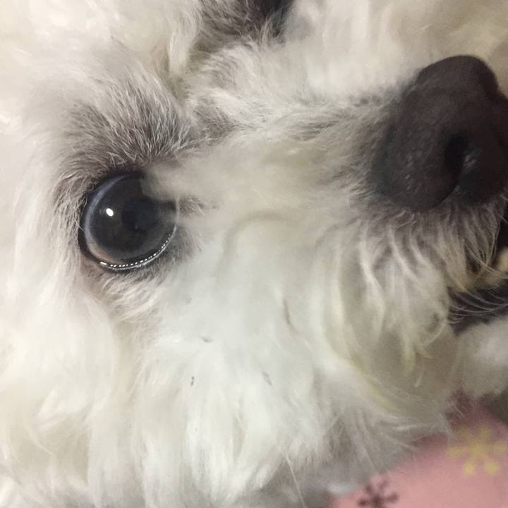 Af63d442 883e 460a b514 6a31020e490b 1529150860685