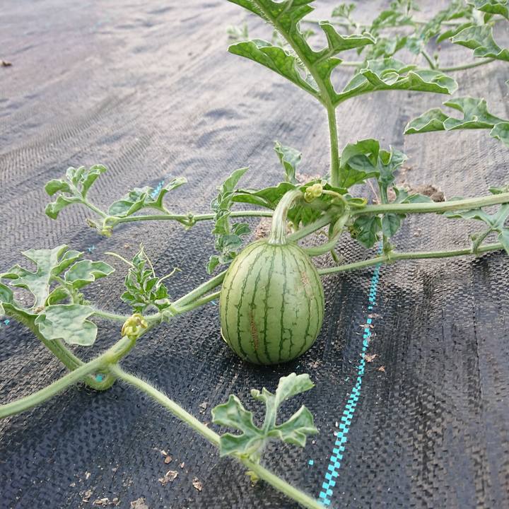 Af63da2a 5619 4dc0 bd0a c108592cb086 1592991747043