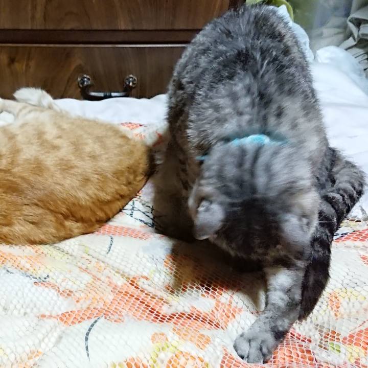 Af641229 0926 4aa5 b007 1c110aabc16d 1569154071326