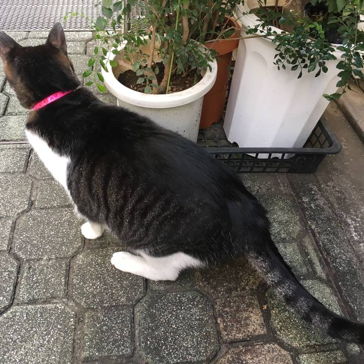 Af6440ba 5eee 4272 a938 ccae272eb818 1511101192690