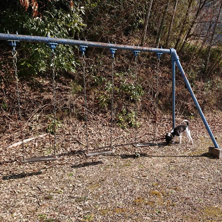 Af64765c 3c84 4b9c a249 80538329ce33 1519635009936