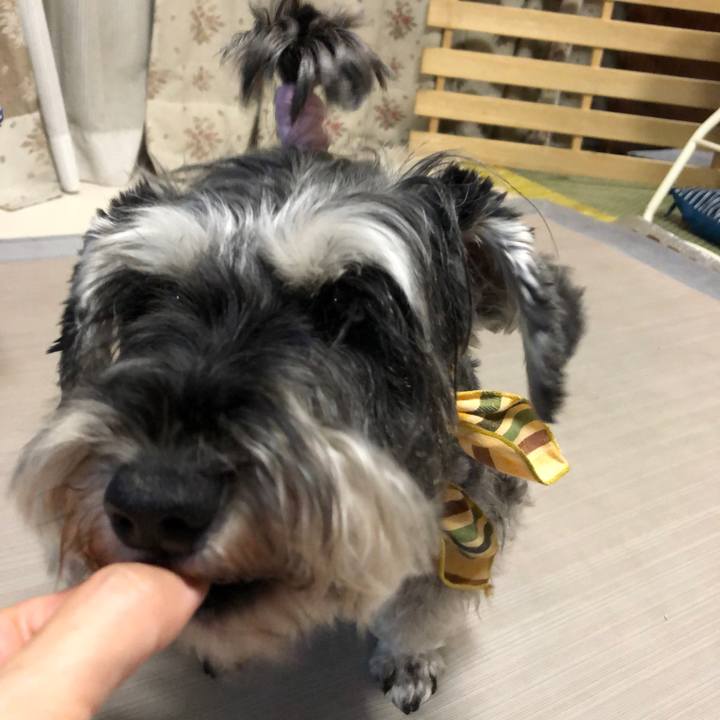 Af649d60 f411 4da3 ab43 43bf5e895182 1626532022195