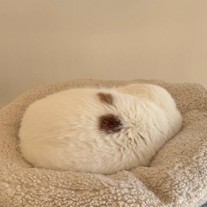 Af64c6c1 27e8 4e66 9471 2bf948ceb764 1767509080332