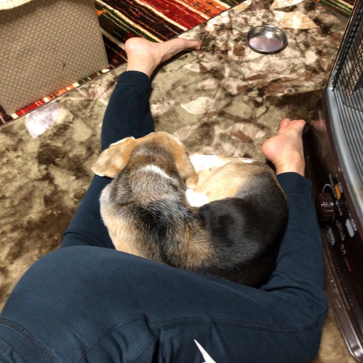 Af64f905 0769 483b b030 2cb7a8169672 1587351769826