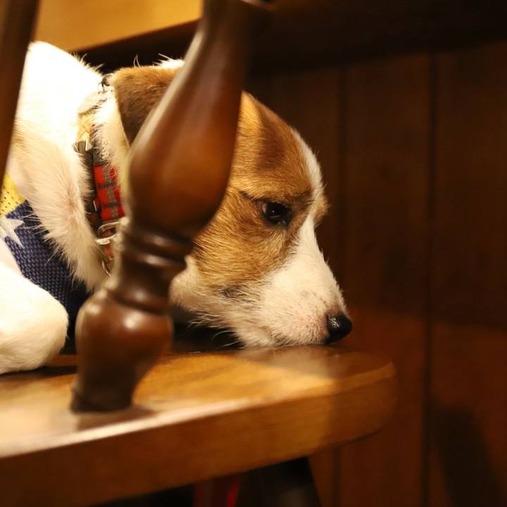 Af64fea9 89b3 43a4 aa56 77998957a715 1536490900710