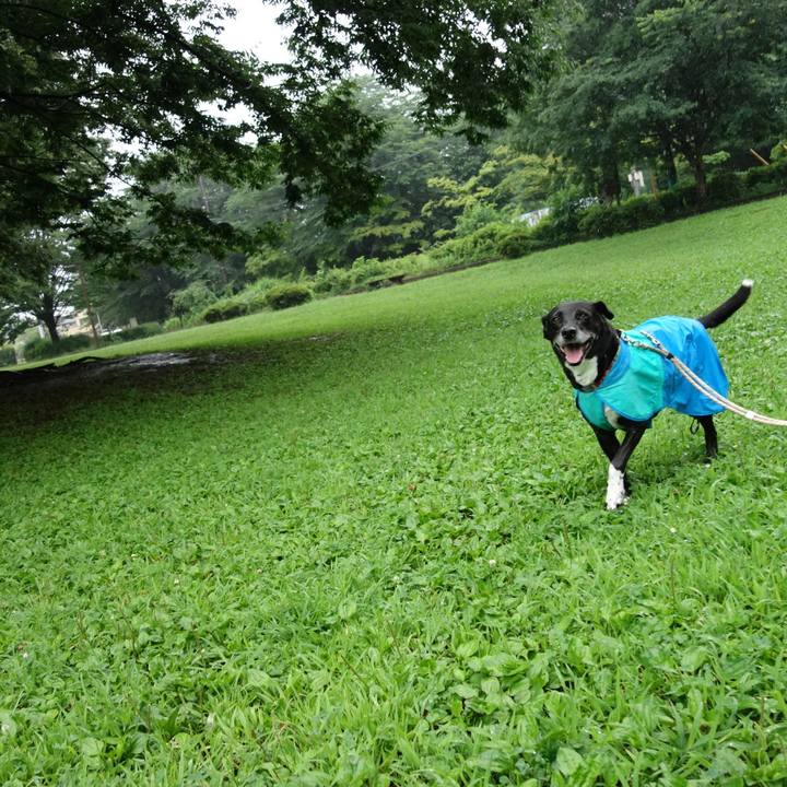 Af6506e9 f221 455b 9d1f 8111b83683e5 1719533909776