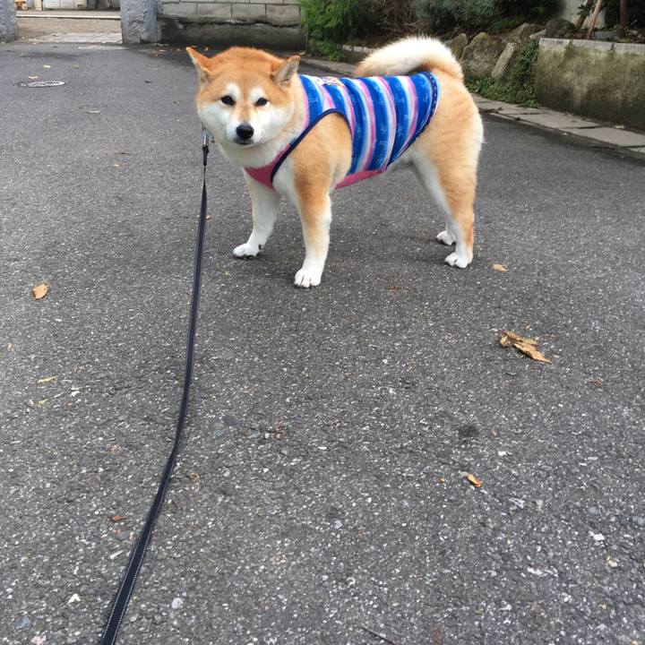 Af655c70 886d 4a22 8f6e 0b57a92e891f 1568850763767