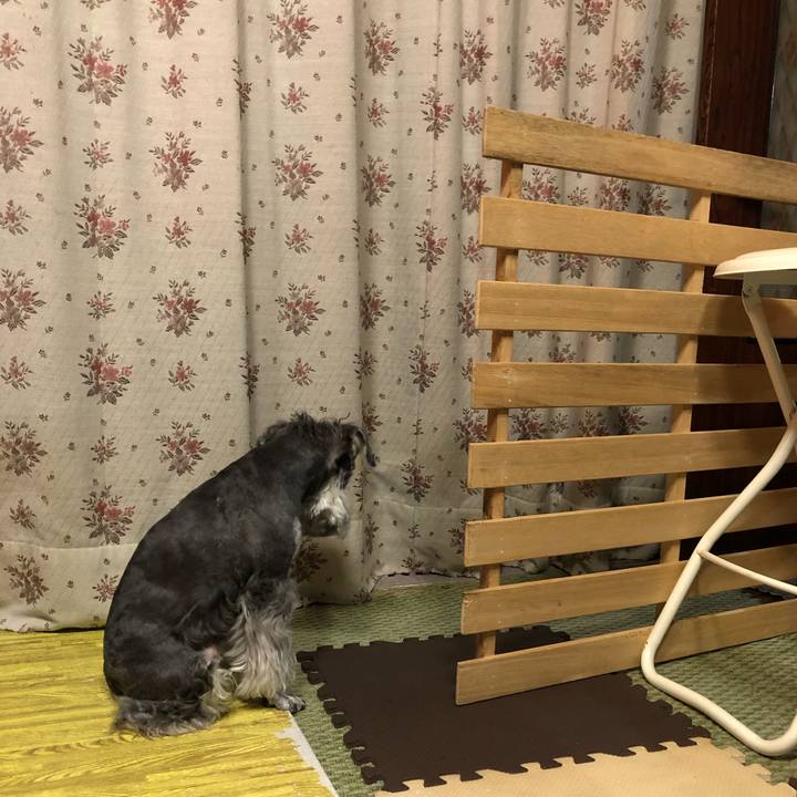 Af656677 afba 4f7b aa9f f5312497d15f 1686912300031