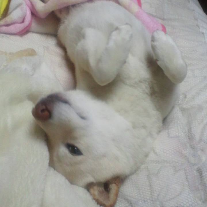 Af6582cc 7c26 46a8 955a d6464e7115d2 1648293607600