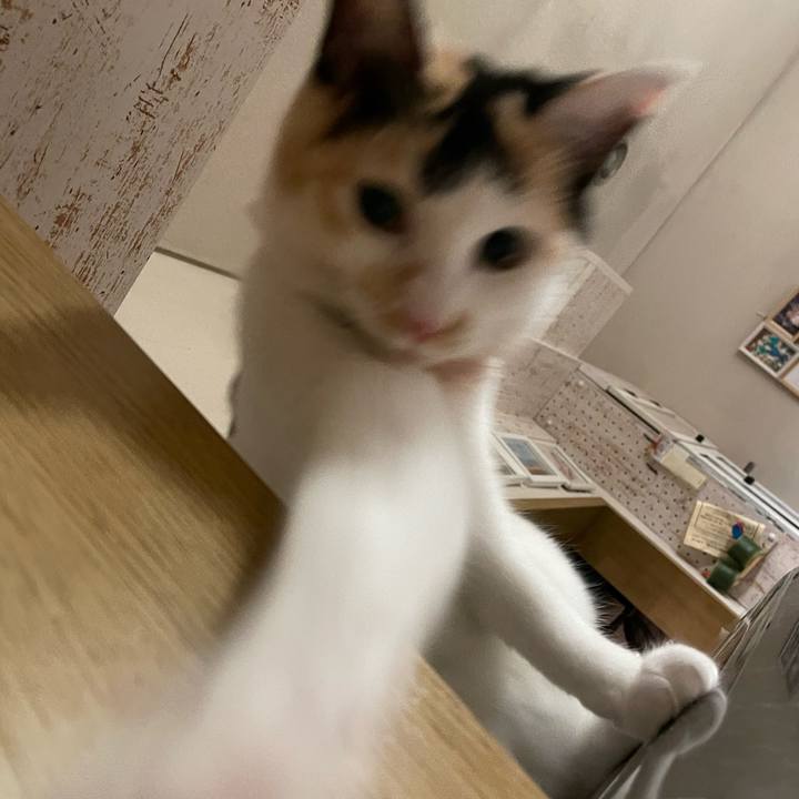 Af65d3eb b6a4 44f0 85c0 5f25abc03261 1668907402420