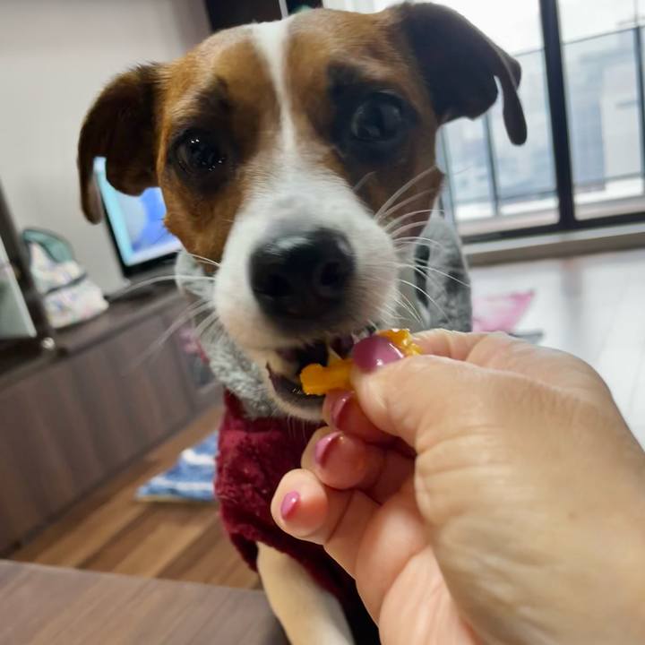 Af65e57b b621 48cc bf3b 732ce2d0e118 1645224726069