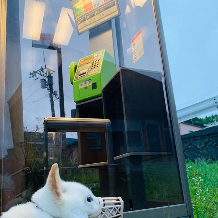 Af65fdf9 604b 467d 879a f383f3b3bca6 1629231991756