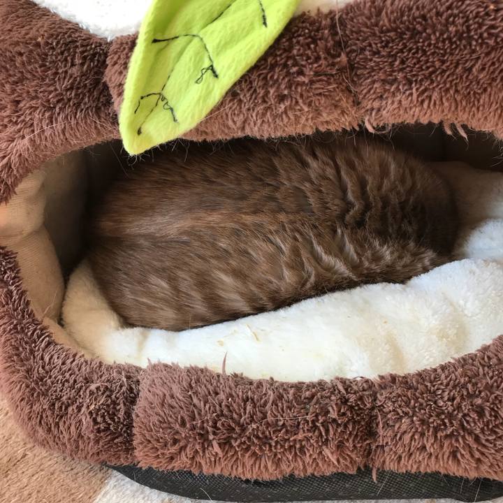 Af665afb f63b 4635 a49c 0dbbde96a2a3 1515894340922