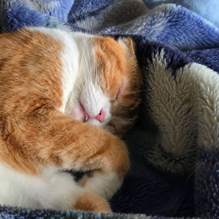 Af666362 841d 4981 b754 ec03ae8c6786 1762074393601