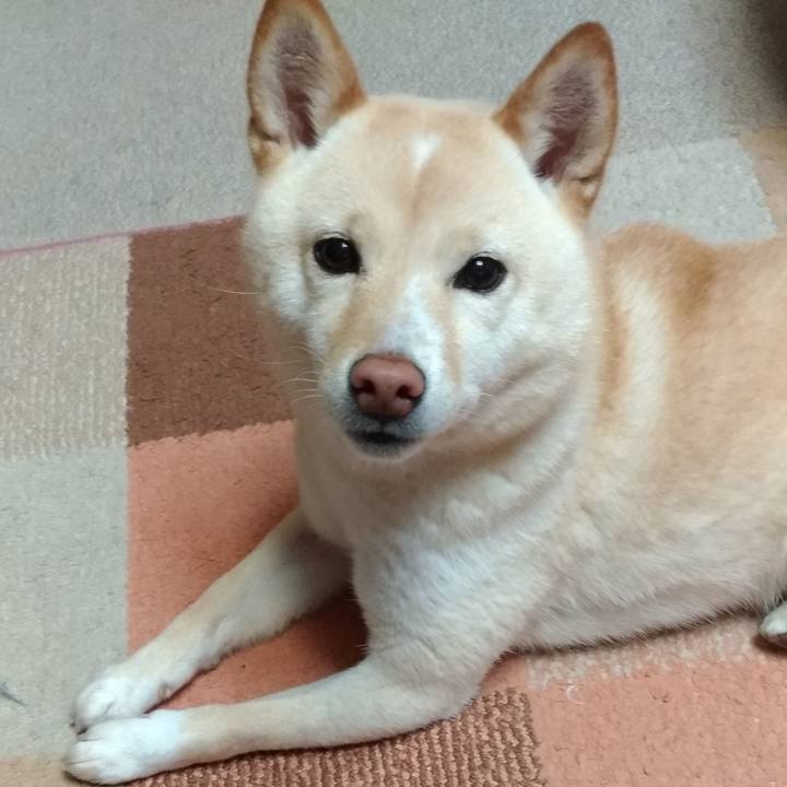 Af669d4d d7dd 400a 87a6 317644114e4c 1583961200823