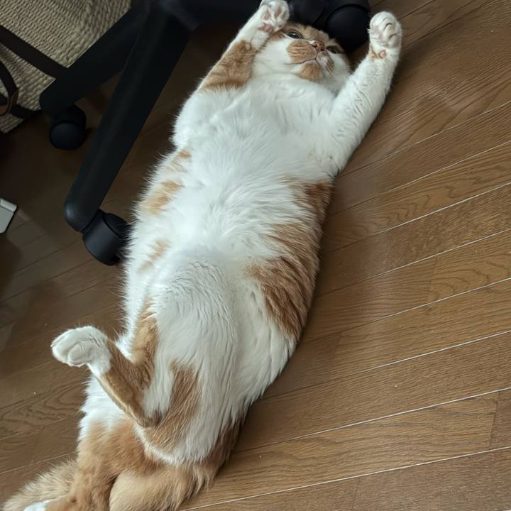 Af66ab7e ee6c 4f2b 85a0 aeec2404364f 1757206598746