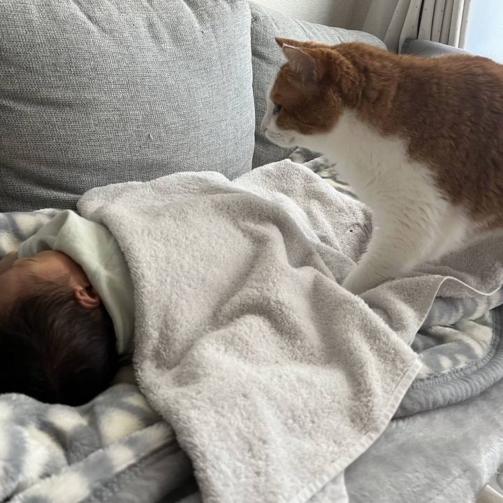 Af66cd4a 88a9 4989 bee0 65800fc3b476 1706945869136