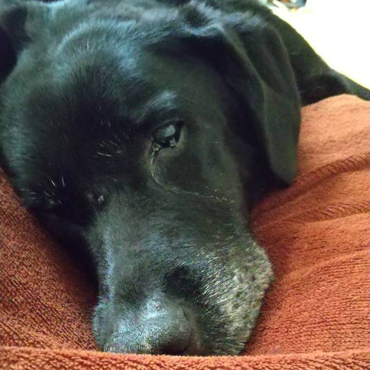 Af66d410 8f60 4079 82a2 857293dddcba 1696287555944