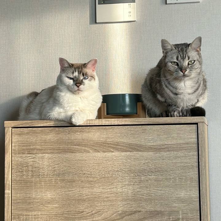 Af672293 042a 4f8e 8c76 55a49bc4e11e 1698311256599