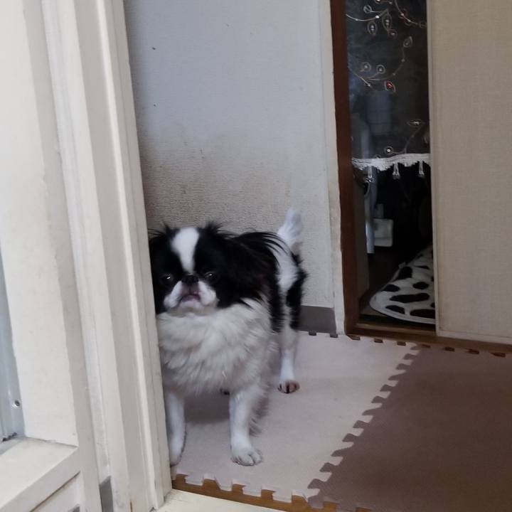 Af673466 af85 4a85 8913 20729e4943f0 1642049819313