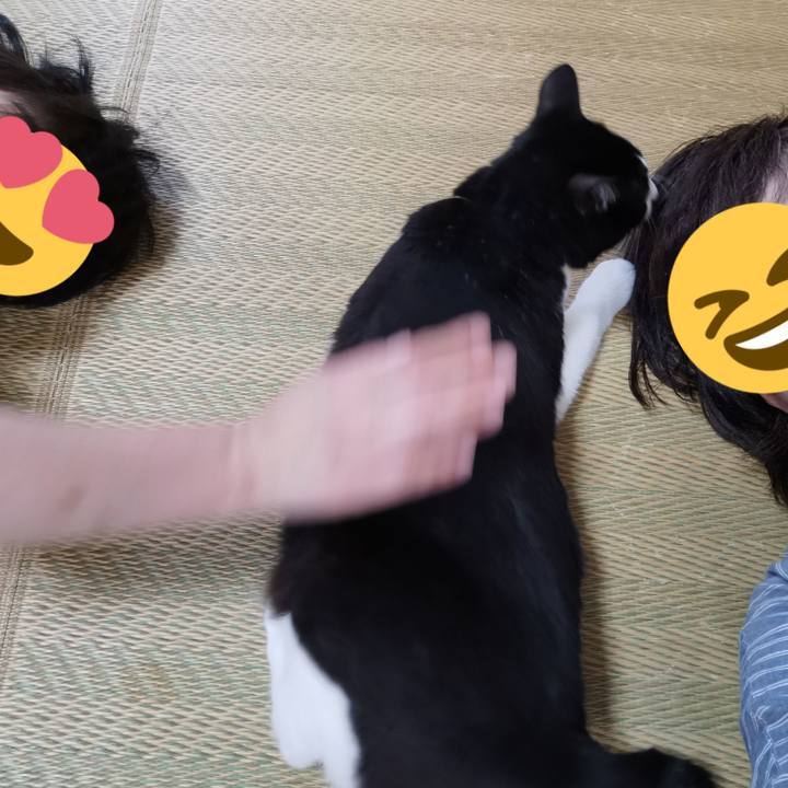 Af675870 2f87 4294 b211 6bed323ce72d 1654932771946