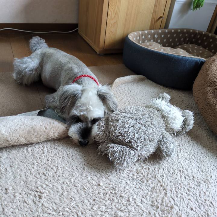 Af675af2 2f80 4244 9272 47823c8e35ce 1755735574715