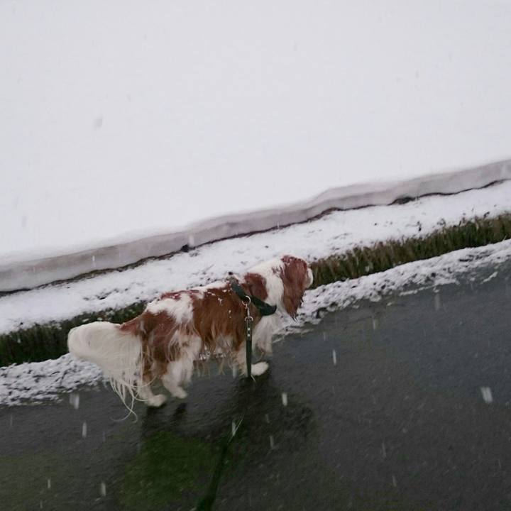 Af67846c 2bda 41a7 8225 b6401fee15d4 1551996397571