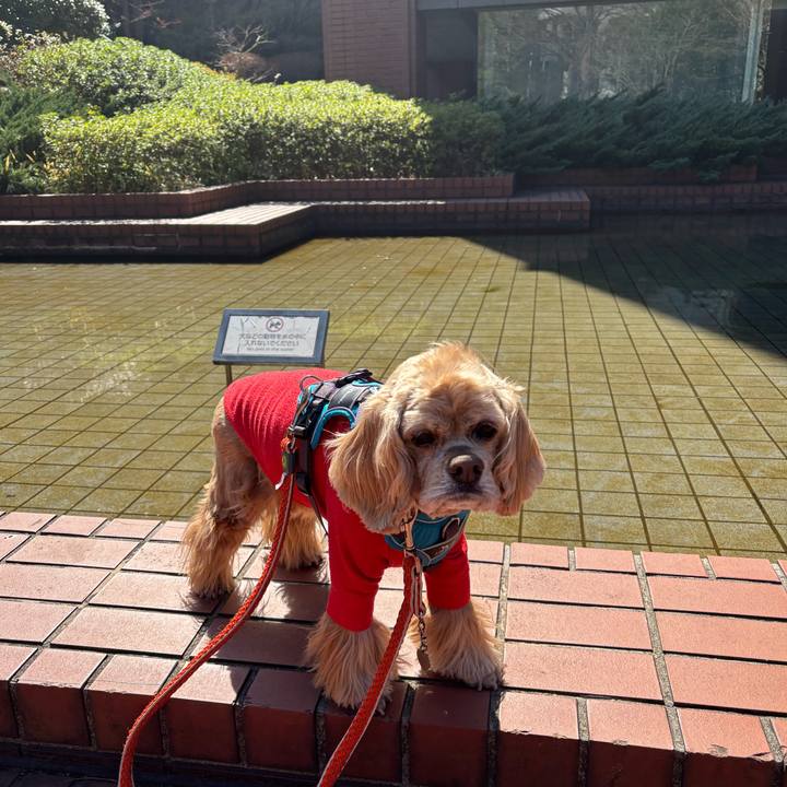 Af67b3fb f851 4027 a9a5 c6eb3580d504 1773319292150