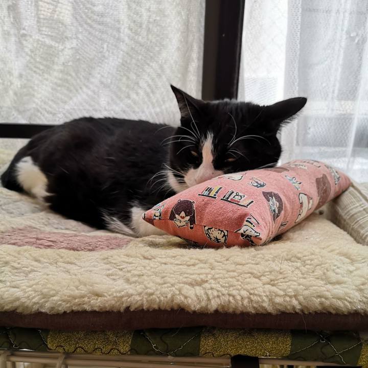 Af67ba73 ad79 438c 8e76 e45d1ee179e9 1647664072844