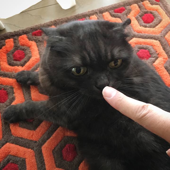 Af67dff9 6eb4 4887 860a c61a2682255a 1585293293061