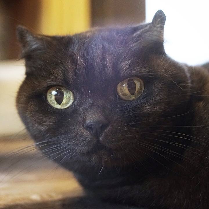 Af67e314 3f68 48bb b22b 14ec9cf31b1b 1575301194398