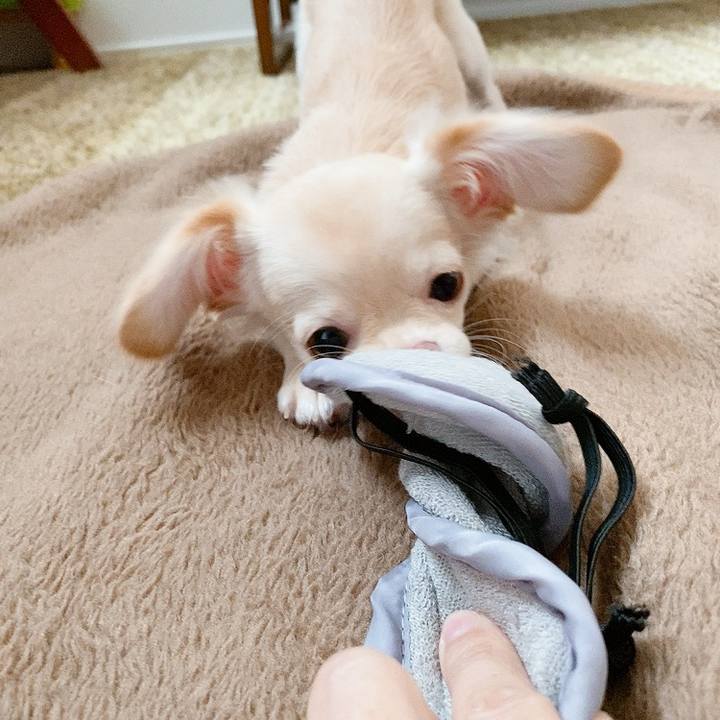 Af67e79d f6a8 426d 924f 87a36dcd4ba3 1595989489178