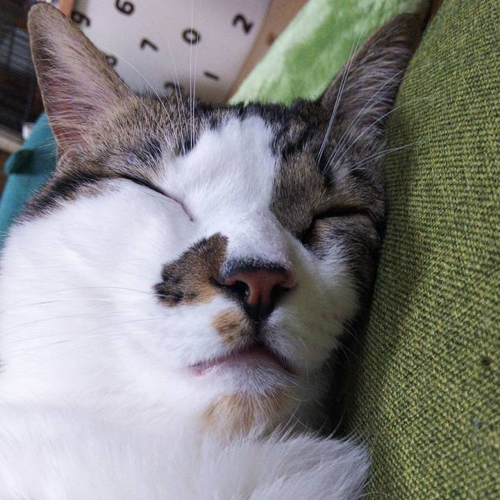 Af67ead4 9fc4 455d b4de bc2b65a43963 1638177315747