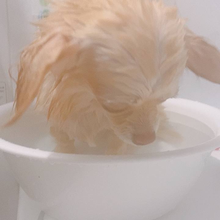 Af67edbe 499f 4647 8373 42bbf602837d 1618298854363