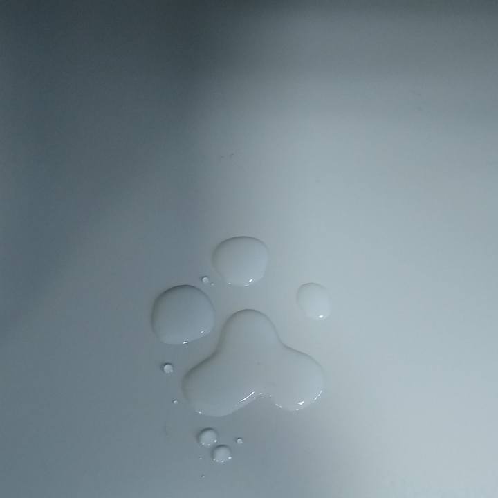 Af67f3a9 485f 40e3 be98 fc7fd2cba1d0 1559644879548