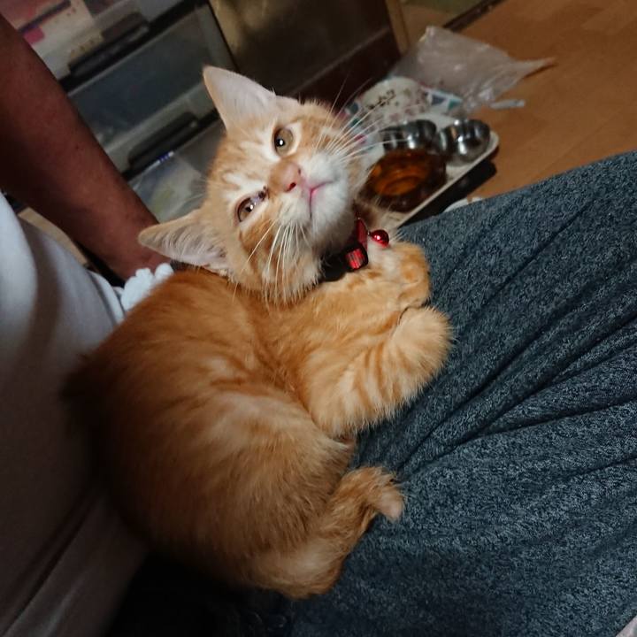 Af68154c 3d38 4b25 9099 f2cd3fdcff57 1629319722765