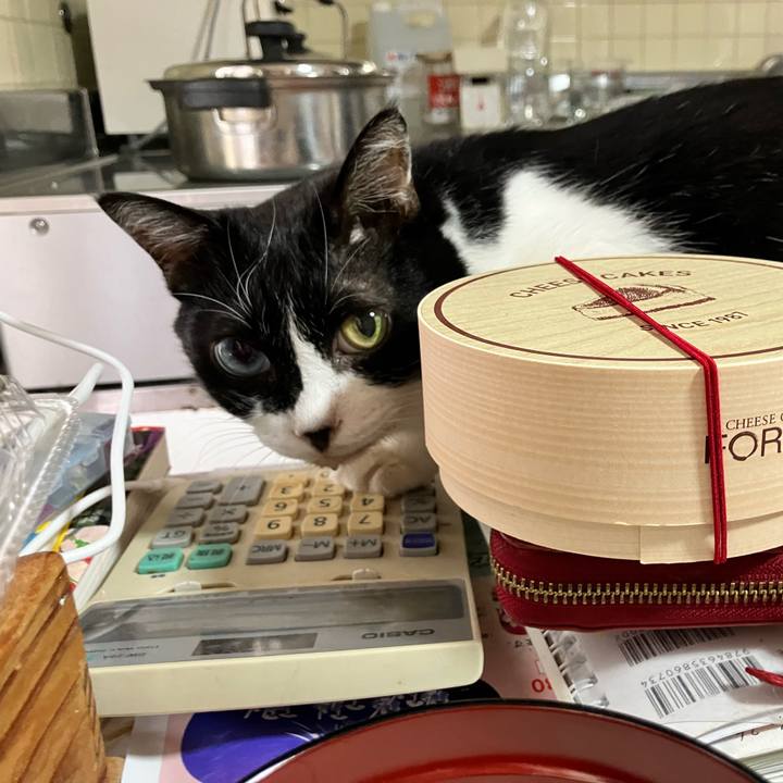 Af68272f 3e0b 4bc6 9db7 72e9e4cbbfa4 1725106274988