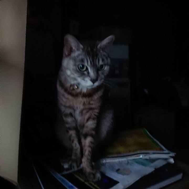 Af6886df 8a3b 4119 8839 4181282191b2 1563565674101