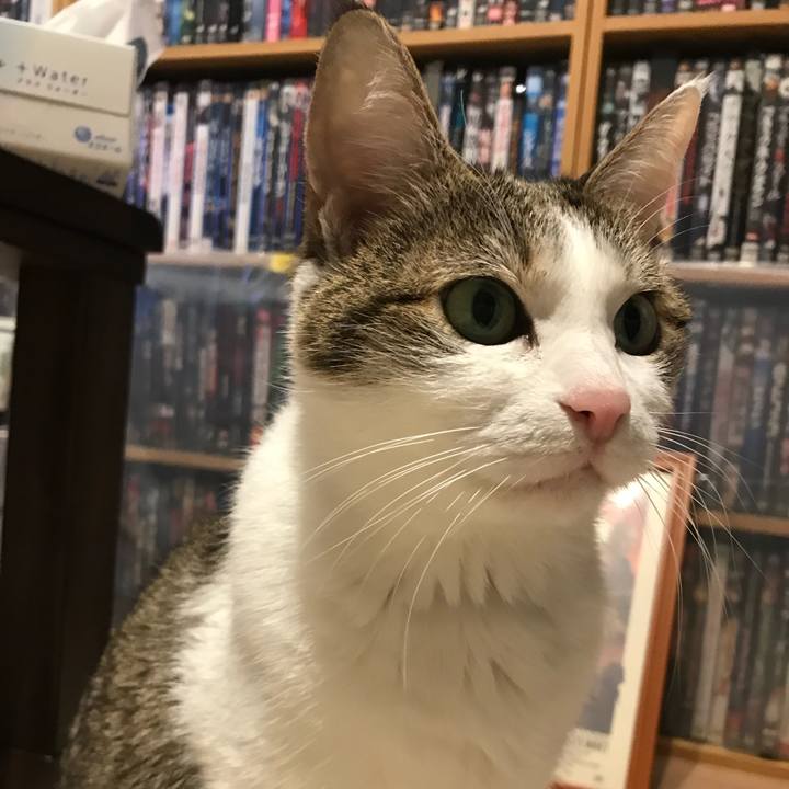 Af688c04 6ea5 48d3 9c05 63a61a941936 1664146335342