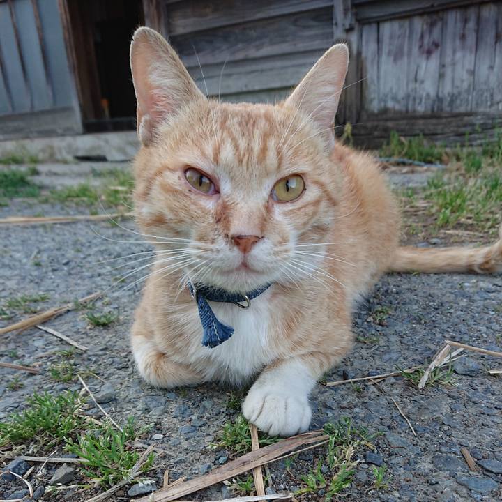 Af68b87a 9c6f 48ea 9b2d 2cfba6f9d148 1558602480890