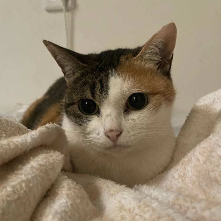 Af68db7f 8c0c 43e3 8fd1 3ea06e50938c 1745092031432