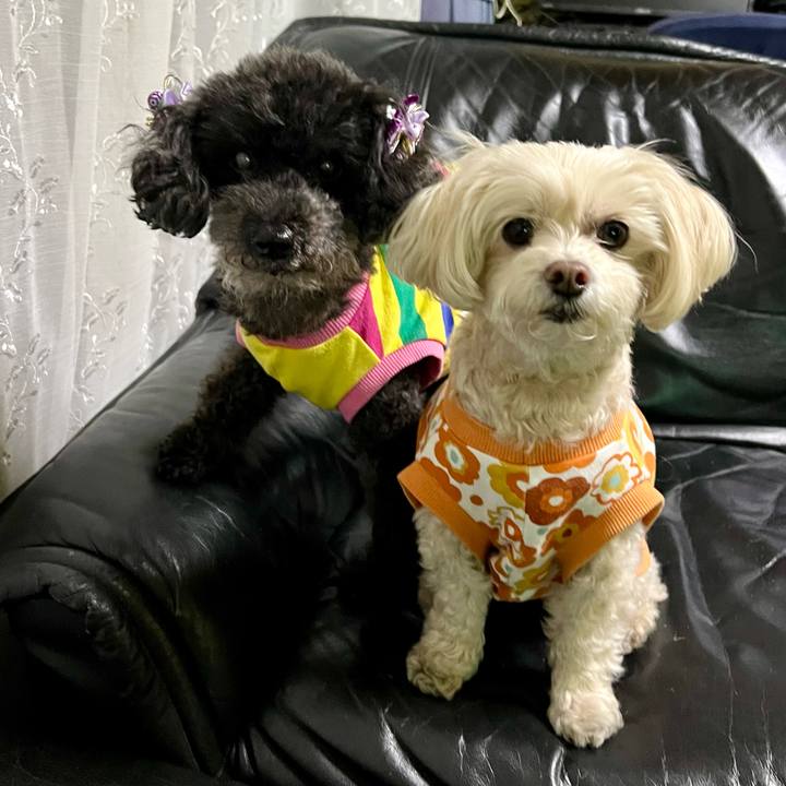 Af68dd8a ddc6 4586 b7ce 030e6271bd2f 1768119744041