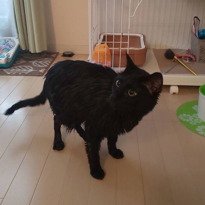 Af69095e 8f4a 4eed b324 ce817d9936ec 1564884222165