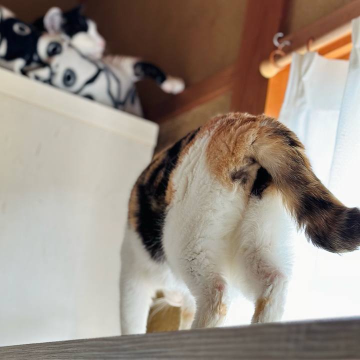 Af692a2d a3cf 408b 83c3 60763eadf6f2 1713143902310