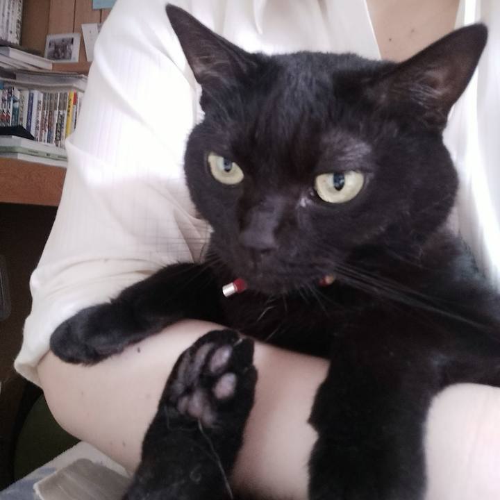 Af6930fe 5433 4f62 9d3a 2139a1ced94a 1651013218869